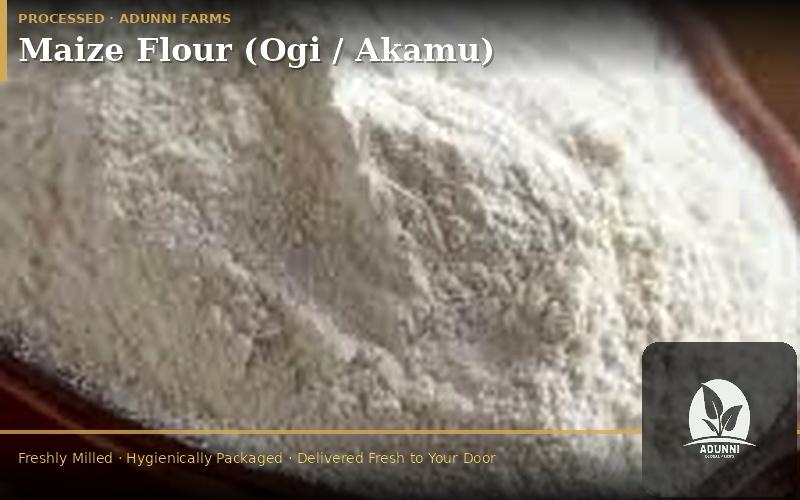 ./WhatsApp_Image_2026-03-12_at_22.03.32_1773503846767